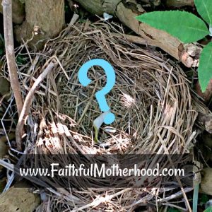 Empty Nest - protect the kids in our nest