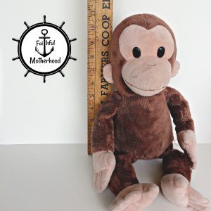 Short Child Monkey