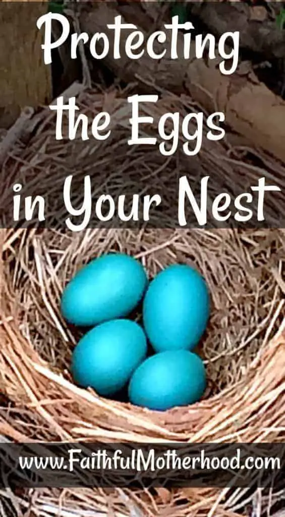 4 Robin Eggs Protecting the Eggs in your Nest