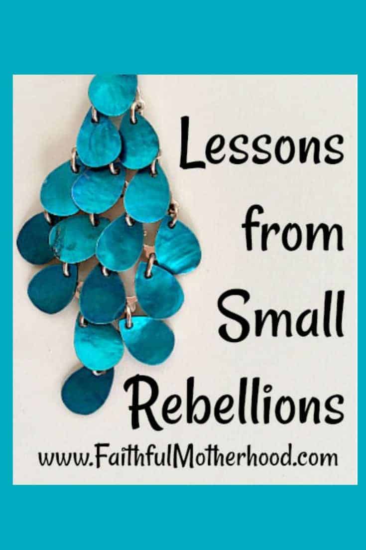 Earrings Small Rebellions Pinterest