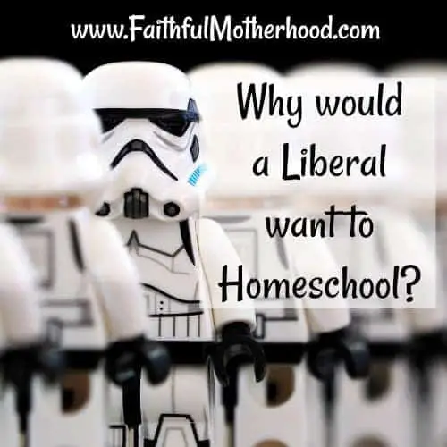 Rebellious Stormtrooper Liberal Homeschool
