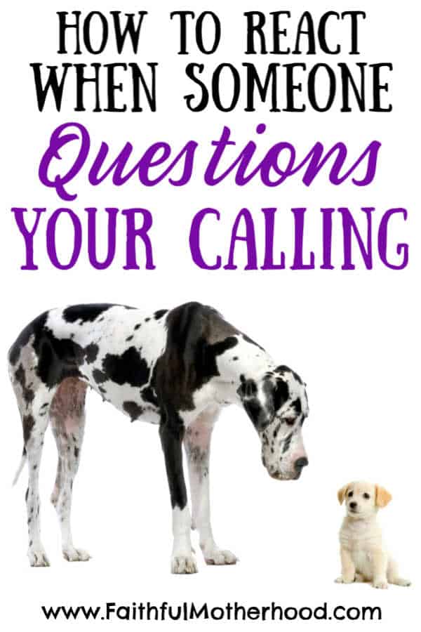 Big Dog and small dog. Title: How to React when someone questions your calling.