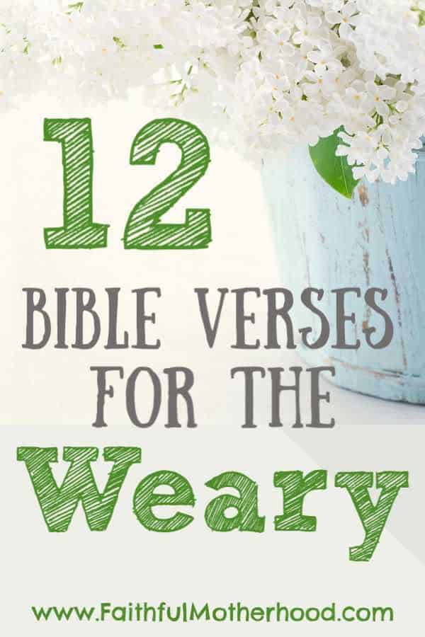 pot with white lilacs and title: 12 Bible verses for the weary