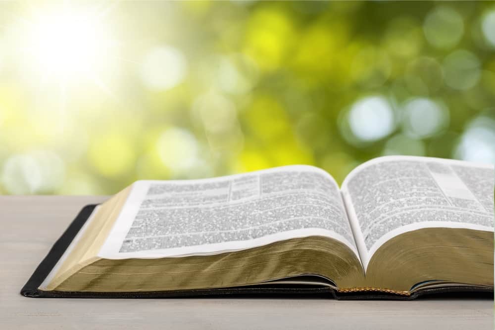 A open Bible open on a table with blurred leaf background - Wesleyan Quadrilateral Scripture 