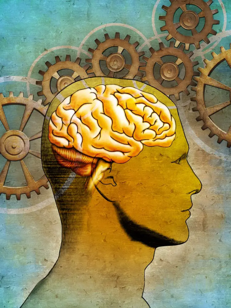 A Wesleyan Quadrilateral example of reason with a drawing of a man from the shoulders up with a brain and gears. 