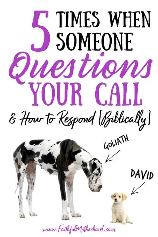 Big Dalmation towers over a tiny dog.  They are labeled David & Goliath.  Title - 5 Times When Someone Questions Your Call & How to Respond [Biblically]