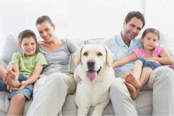 Happy family sitting on couch with their pet labrador at home in the living room - they are focusing, happy, and looking right at the screen. The parents have the kids divided between them to help the kids focus for online worship. 
