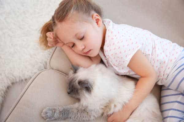 A Christian homemaker cultivates a peaceful home like the one pictured with a young girl sleeping peacefully on a coach with her cat tucked under her arm sleeping as well. 